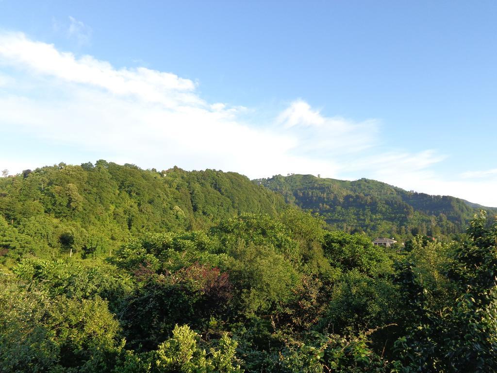 Guest House Vitali ゴニオ エクステリア 写真
